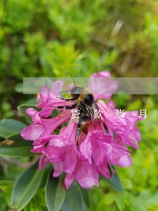 贷款当月逾期怎么还款 贷款当月逾期怎么还款
