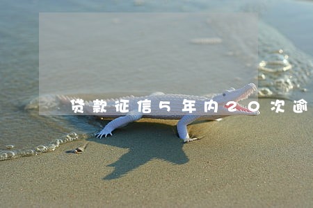 贷款征信5年内20次逾期
