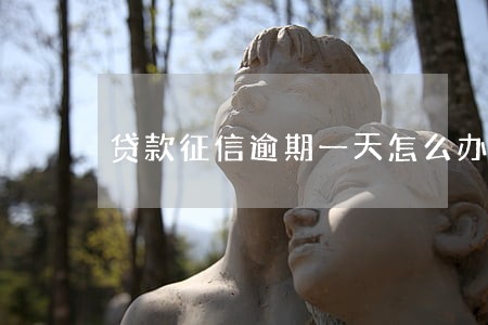 贷款征信逾期一天怎么办 贷款征信逾期一天怎么办