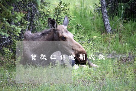 贷款征信逾期次数 贷款征信逾期次数