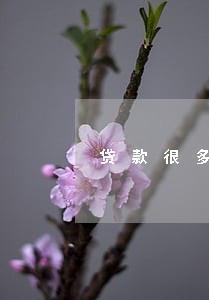 贷款很多但没逾期 贷款很多但没逾期