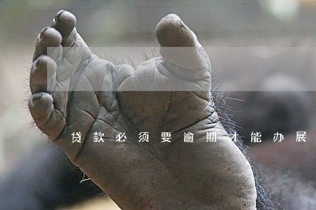 贷款必须要逾期才能办展期吗 贷款必须要逾期才能办展期吗
