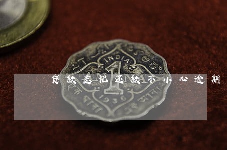 贷款忘记还款不小心逾期了 贷款忘记还款不小心逾期了