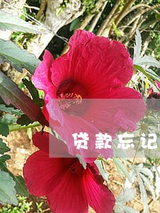 贷款忘记逾期100天了 贷款忘记逾期100天了