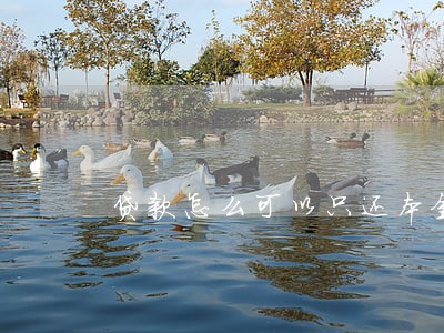 贷款怎么可以只还本金 贷款怎么可以只还本金
