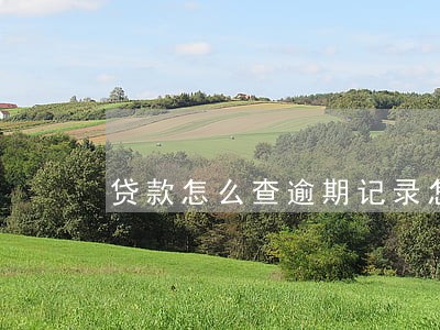 贷款怎么查逾期记录怎么消除 贷款怎么查逾期记录怎么消除