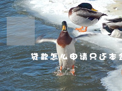 贷款怎么申请只还本金 贷款怎么申请只还本金