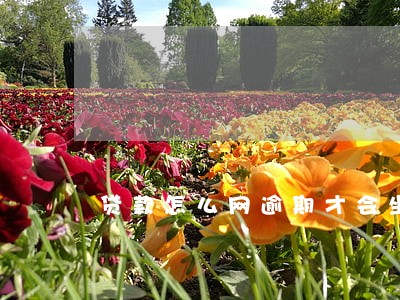 贷款怎么网逾期才会坐牢 贷款怎么网逾期才会坐牢