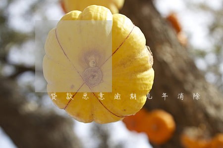 贷款恶意逾期几年消除