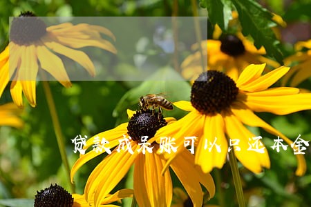 贷款成呆账可以只还本金吗 贷款成呆账可以只还本金吗