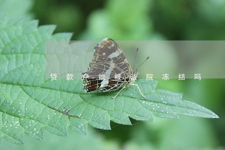 贷款户能被法院冻结吗 贷款户能被法院冻结吗