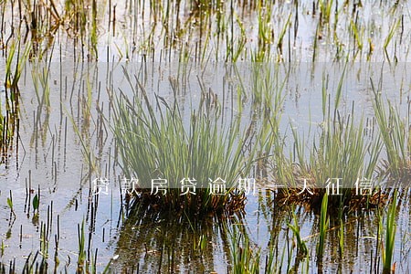贷款房贷逾期一天征信 贷款房贷逾期一天征信