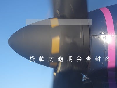 贷款房逾期会查封么 贷款房逾期会查封么