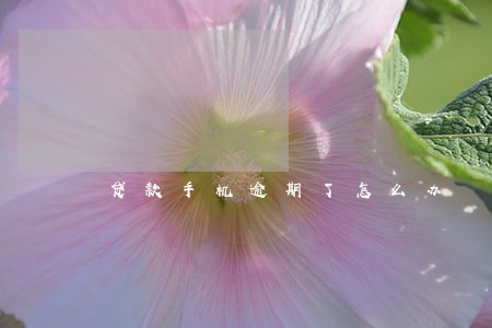 贷款手机逾期了怎么办 贷款手机逾期了怎么办