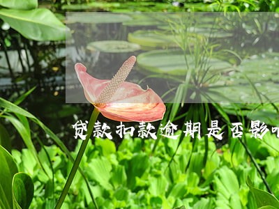 贷款扣款逾期是否影响征信