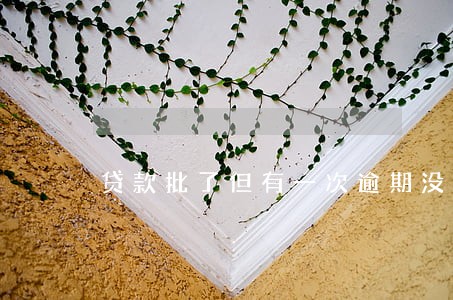 贷款批了但有一次逾期没放款 贷款批了但有一次逾期没放款