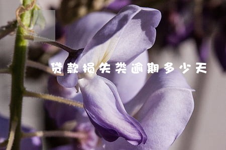 贷款损失类逾期多少天 贷款损失类逾期多少天