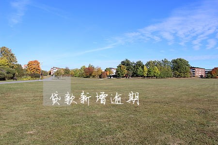 贷款新增逾期 贷款新增逾期