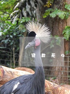 贷款无90天以上逾期可以买房 贷款无90天以上逾期可以买房
