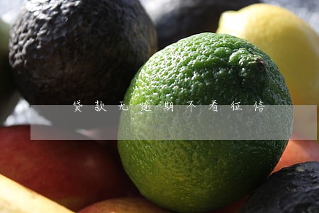 贷款无逾期不看征信 贷款无逾期不看征信