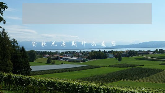 贷款无逾期什么意思 贷款无逾期什么意思