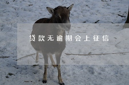 贷款无逾期会上征信 贷款无逾期会上征信