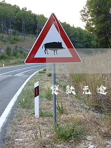 贷款无逾期已还清影响政审吗 贷款无逾期已还清影响政审吗