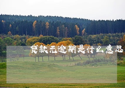 贷款无逾期是什么意思 贷款无逾期是什么意思