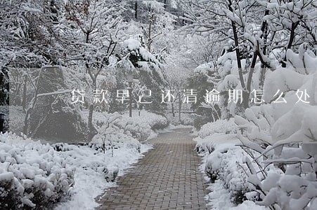 贷款早己还清逾期怎么处理 贷款早己还清逾期怎么处理