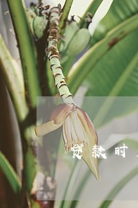 贷款时发现信用卡存在逾期