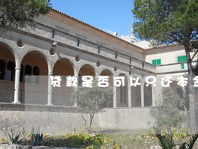 贷款是否可以只还本金 贷款是否可以只还本金