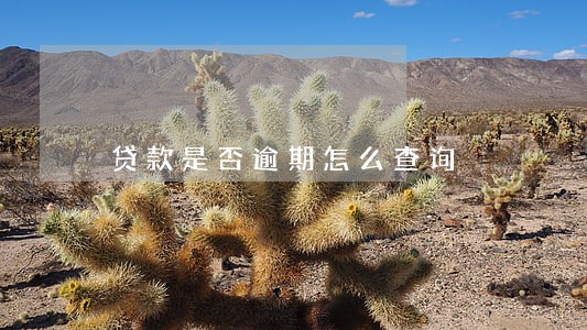 贷款是否逾期怎么查询 贷款是否逾期怎么查询
