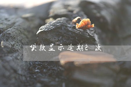贷款显示逾期2次 贷款显示逾期2次