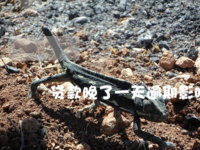 贷款晚了一天逾期影响大么 贷款晚了一天逾期影响大么