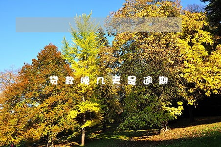贷款晚几天是逾期 贷款晚几天是逾期