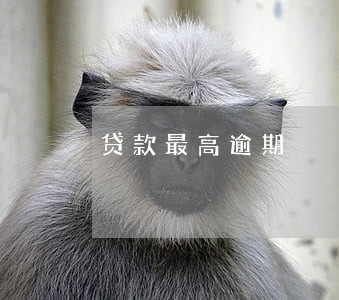 贷款最高逾期 贷款最高逾期