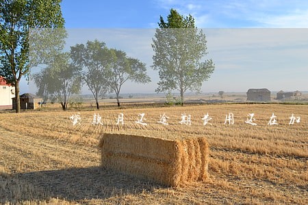 贷款月还逾期费用还在加纳 贷款月还逾期费用还在加纳