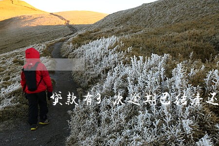 贷款有3次逾期已结清还能贷款吗 贷款有3次逾期已结清还能贷款吗