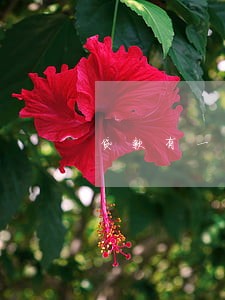 贷款有一个月逾期三次 贷款有一个月逾期三次