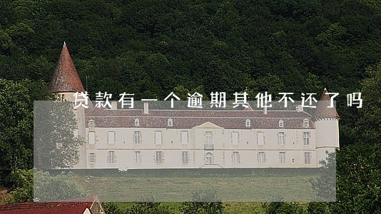 贷款有一个逾期其他不还了吗