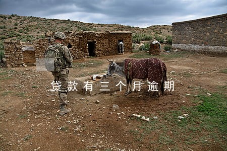 贷款有三个月逾期 贷款有三个月逾期