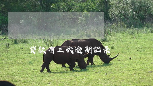 贷款有三次逾期记录