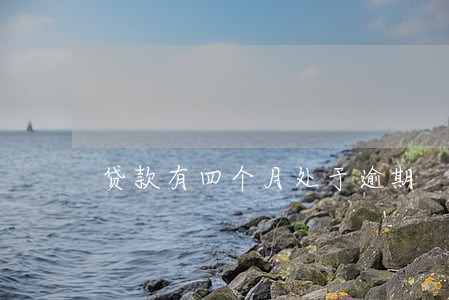贷款有四个月处于逾期 贷款有四个月处于逾期