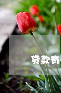 贷款有四次逾期 贷款有四次逾期