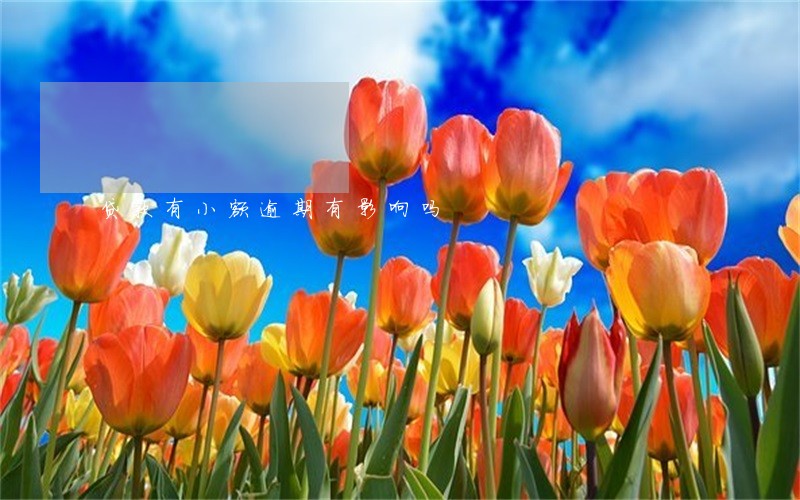 贷款有小额逾期有影响吗 贷款有小额逾期有影响吗