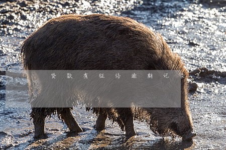贷款有征信逾期记录怎么办 贷款有征信逾期记录怎么办