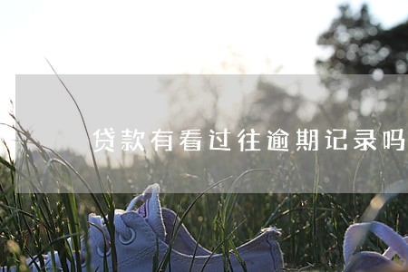 贷款有看过往逾期记录吗 贷款有看过往逾期记录吗