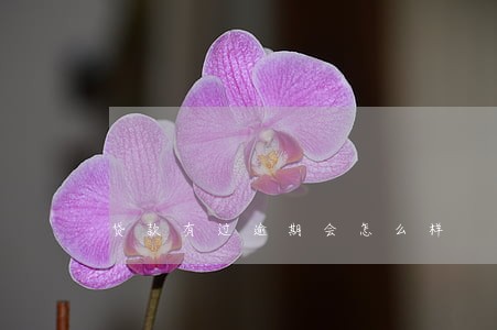 贷款有过逾期会怎么样 贷款有过逾期会怎么样