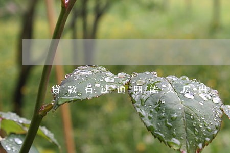 贷款有过逾期能买房吗 贷款有过逾期能买房吗