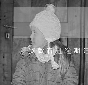 贷款有过逾期记录